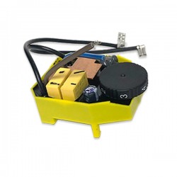 Rupes Electronic Module 