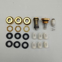 BIGBOI WASHRFLO - COMPLETE REPAIR KIT (UPPER & LOWER PUMP)