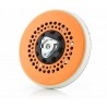@$*+ShineMate - 5 INCH 'Dust Devil' Backing Plate for EX605 EX610.