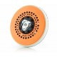 @$*+ShineMate - 5 INCH 'Dust Devil' Backing Plate for EX605 EX610.